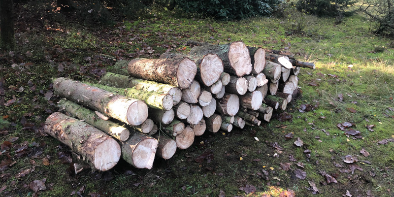 Holz eines Nadelbaumes als Stapel